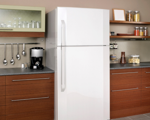 Top 5 Tips for Choosing the Perfect Refrigerator for Your Home